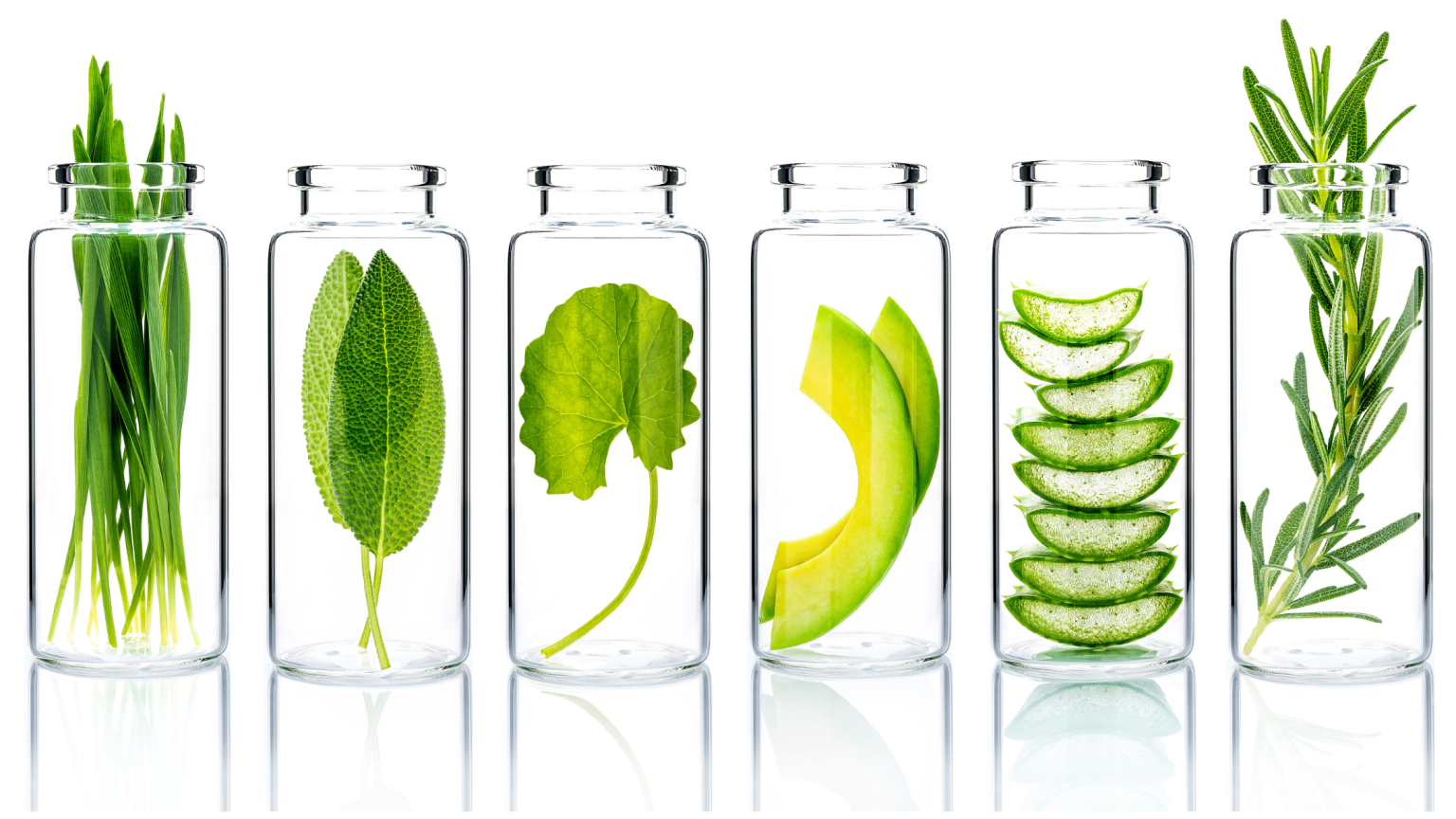 Dei contenitori di vetro con dentro dei vegetali usati in skincare