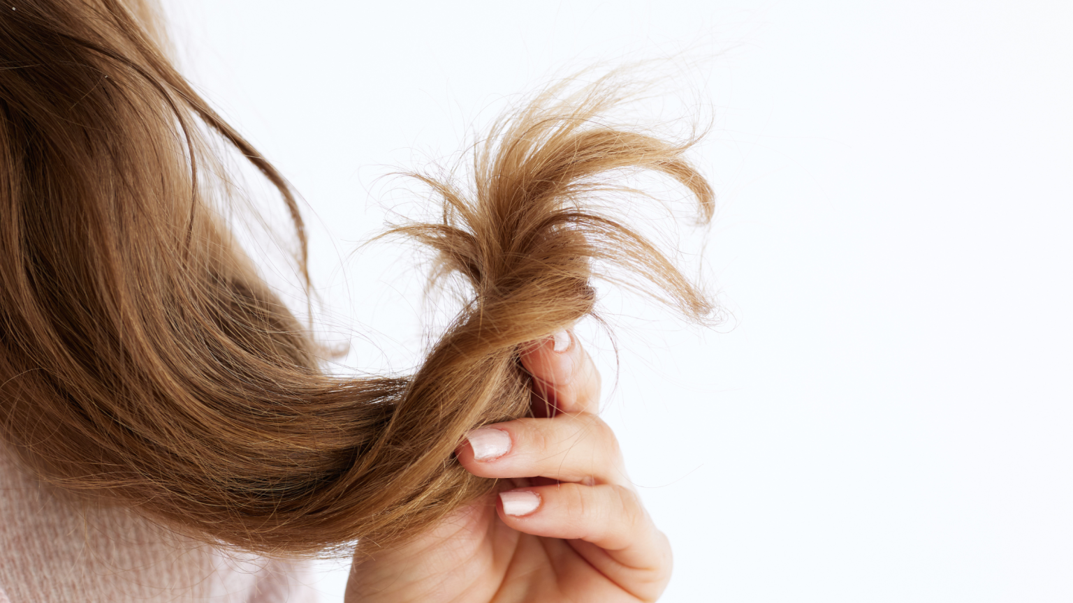 La mano di una donna che trattiene dei capelli visibilmente secchi e rovinati