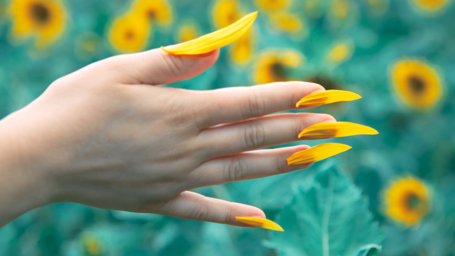 Una foto in primo piano di una mano con le unghie formate da petali gialli con uno sfondo di un campo con fiori gialli