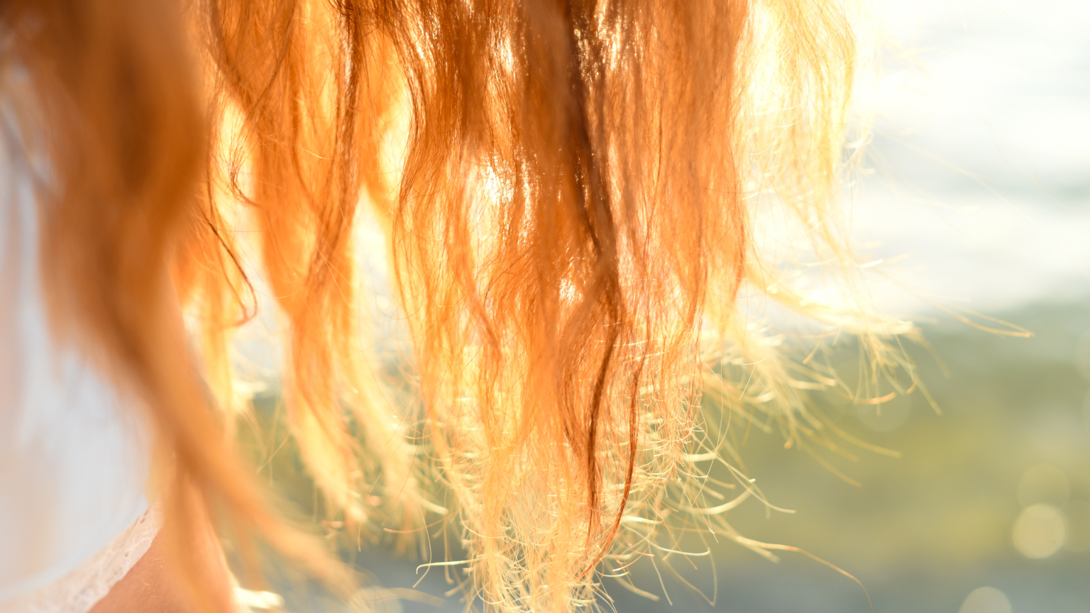 dei capelli rossi in controluce